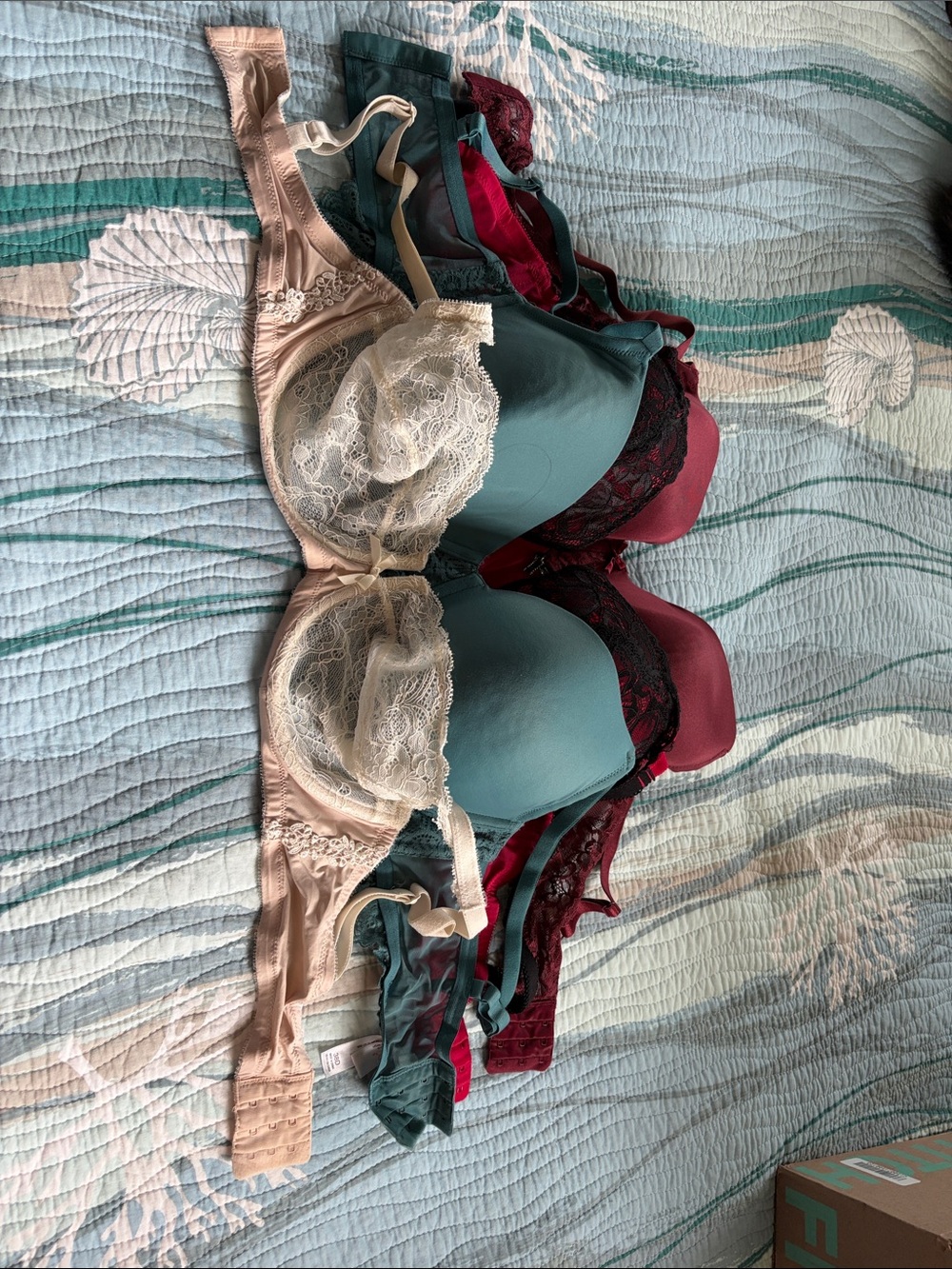 Gilligan & O'Malley Mixed Teal, Blush & Wine Lace Bras